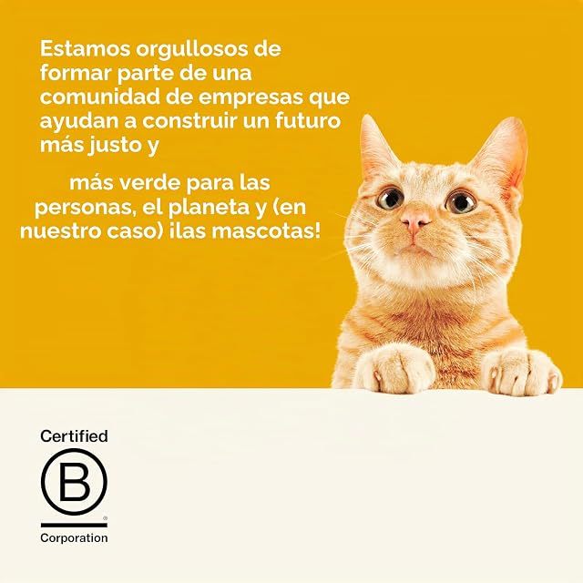Foto 4 de 4 de Applaws Comida Húmeda Natural de Pechuga de Pollo en Gelatina para Gatos Adultos