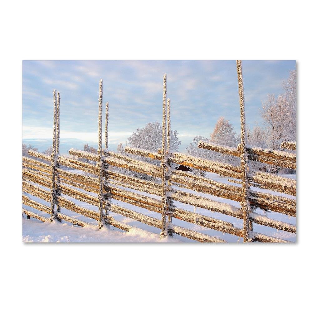 Cold Winter Morning by Anders Ludvigson, 22x32-Inch Canvas Wall Art