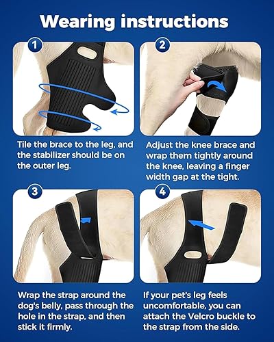 Miniatura 4 de Rodillera de cadera para perro, soporte de ACL para perro para piernas delanteras y traseras traseras, desgarro de ligamento cruzado anterior