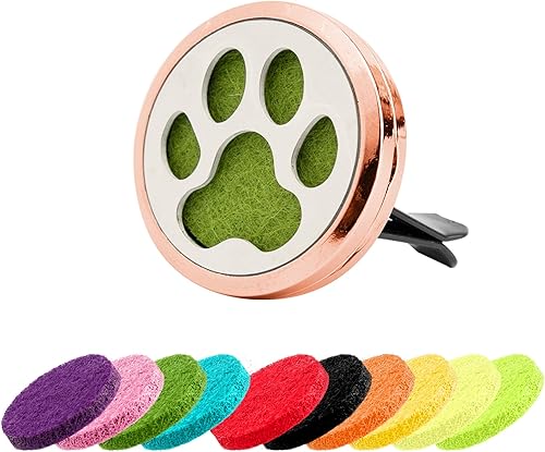 Framendino, 1 paquete de difusor de aceite esencial para automóvil con 10 almohadillas de repuesto de fieltro, aromaterapia, ambientador de aire,