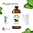 Sun Essential Oils - Peppermint Essential Oil (4 oz) with Dropper for Diffuser, Humidifier, Skin & Aromatherapy Body Massage, Candle & Soap Making for Home