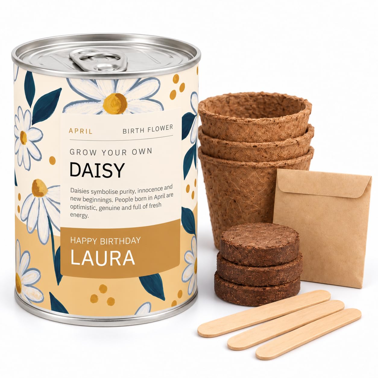 April Birth Flower By Blooming Lovely, Grow Your Own Daisy Gift Tin