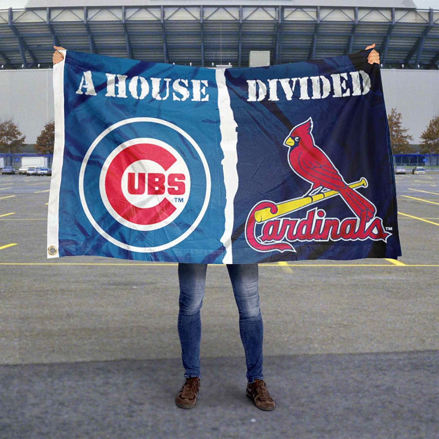 WinCraft Chicago Baseball and St. Louis House Divided Flag