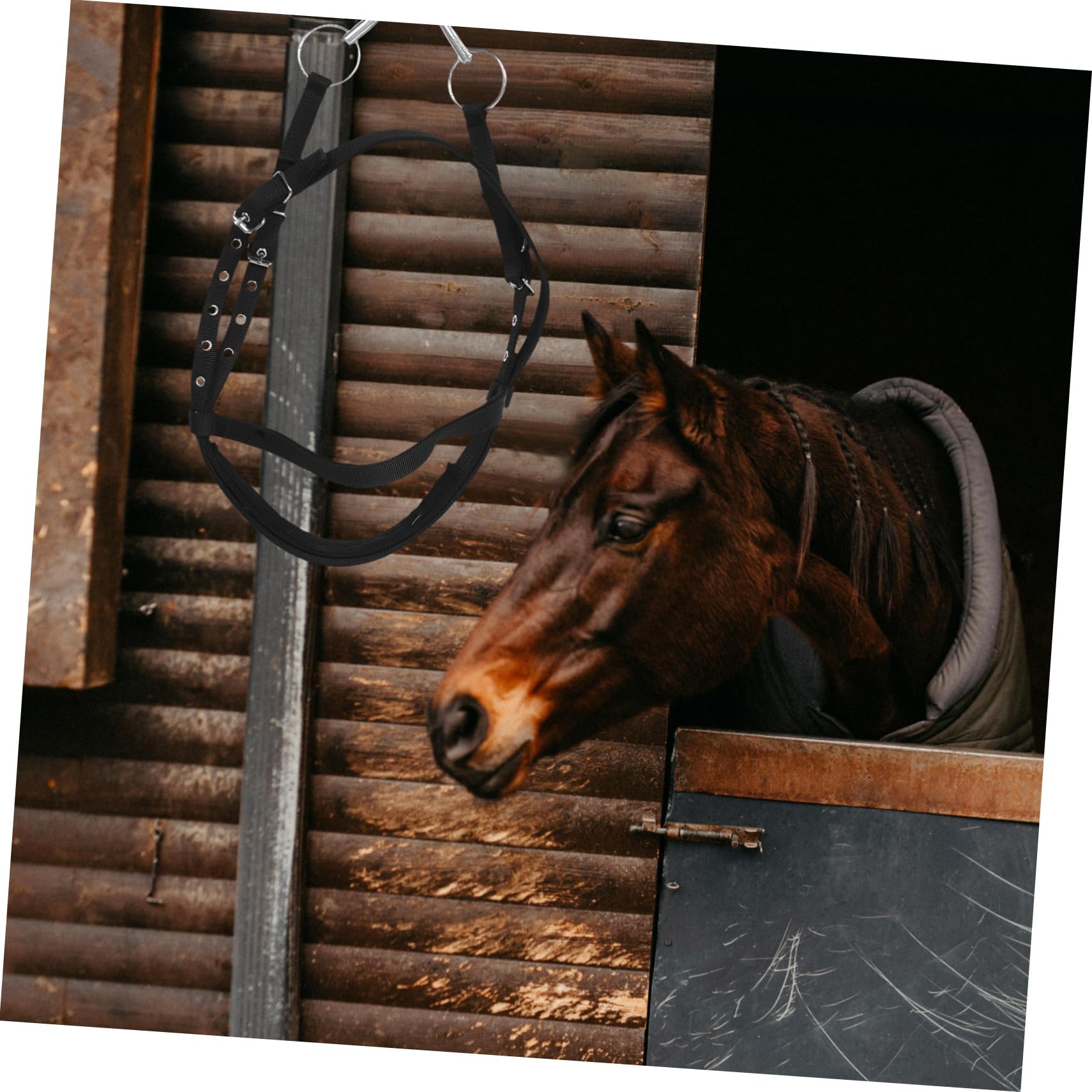 Cabezada De Nylon para Caballos y Resistente para Entrenamiento y Monta De Diversas Razas