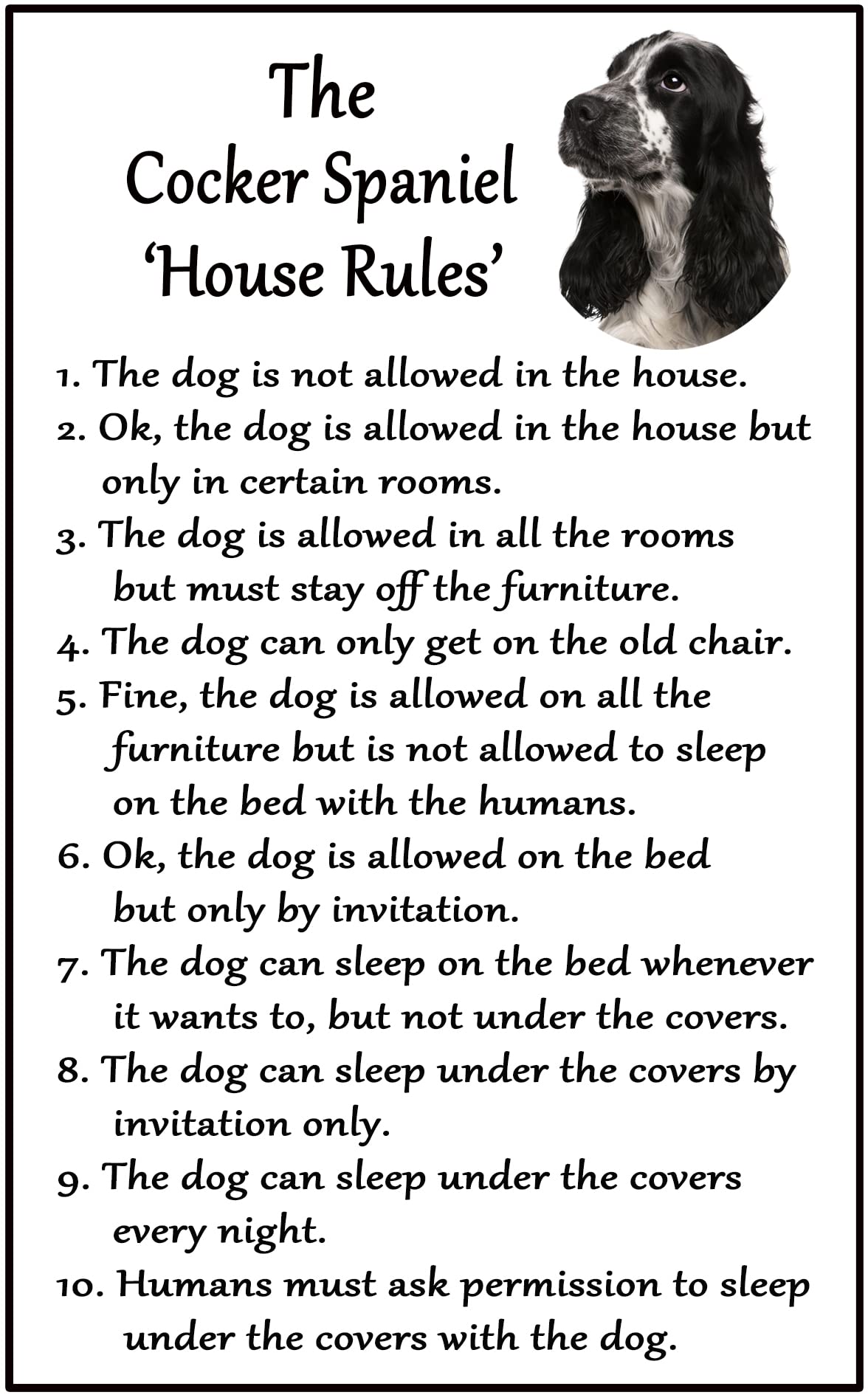 Fridge Magnets White Cocker Spaniel Black And /Roan Gift - House Rules - Large Fun Flexible Size 16Cms X 10 Cms (Approx. 6" X4")