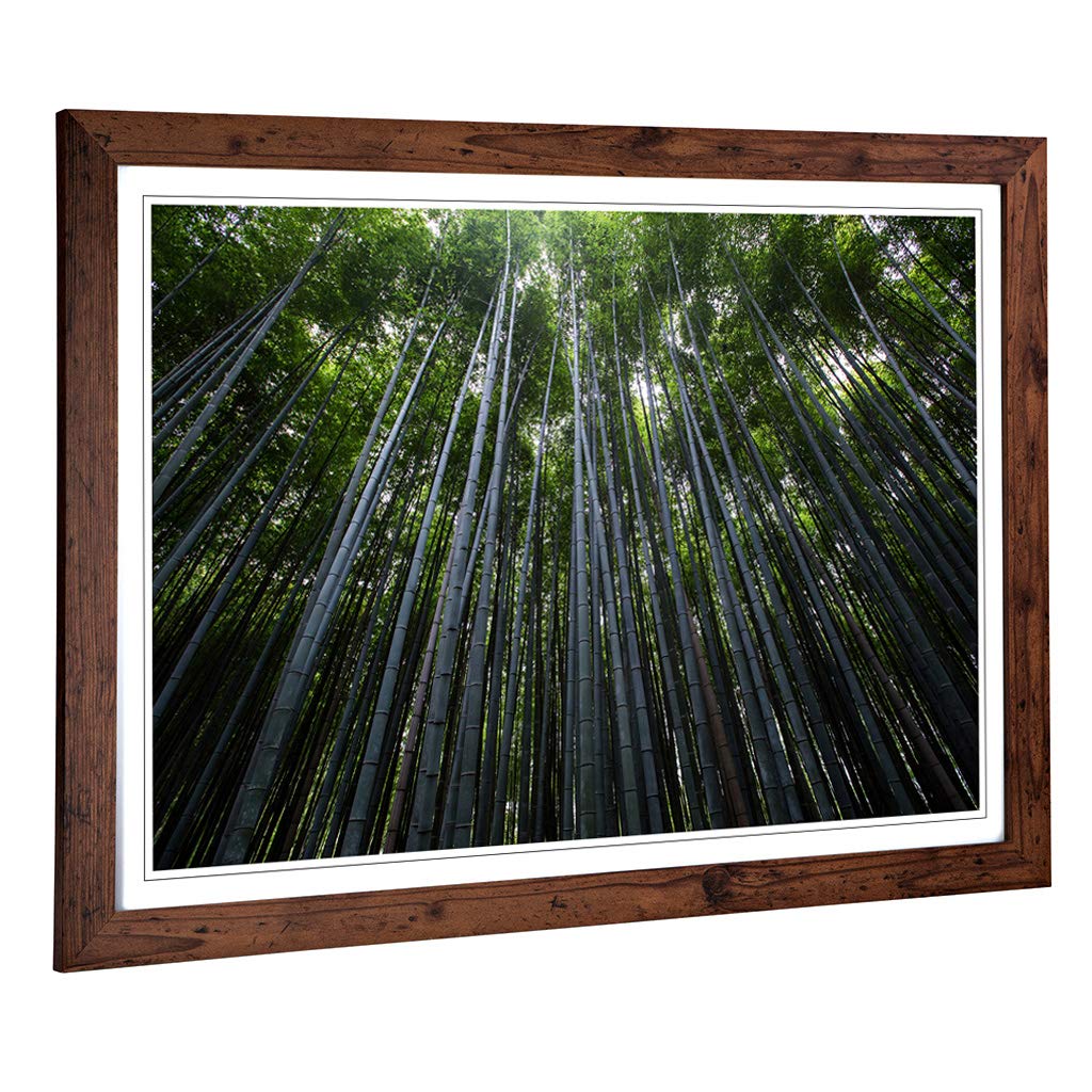 Big Box Art Framed Print of Landscape Woodland Trees Design | Wall Art Picture | Home Decor for Kitchen, Living, Dining Room, Bedroom, Hallway, Office, Walnut, A2 / 24.5x18 Inch / 62x45cm