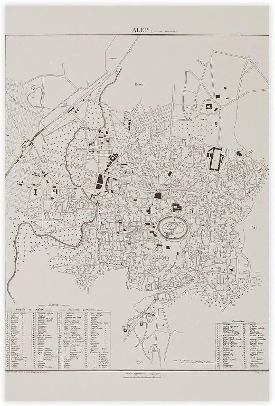 Antique Map of Aleppo, Syria Unframe 20x30inch