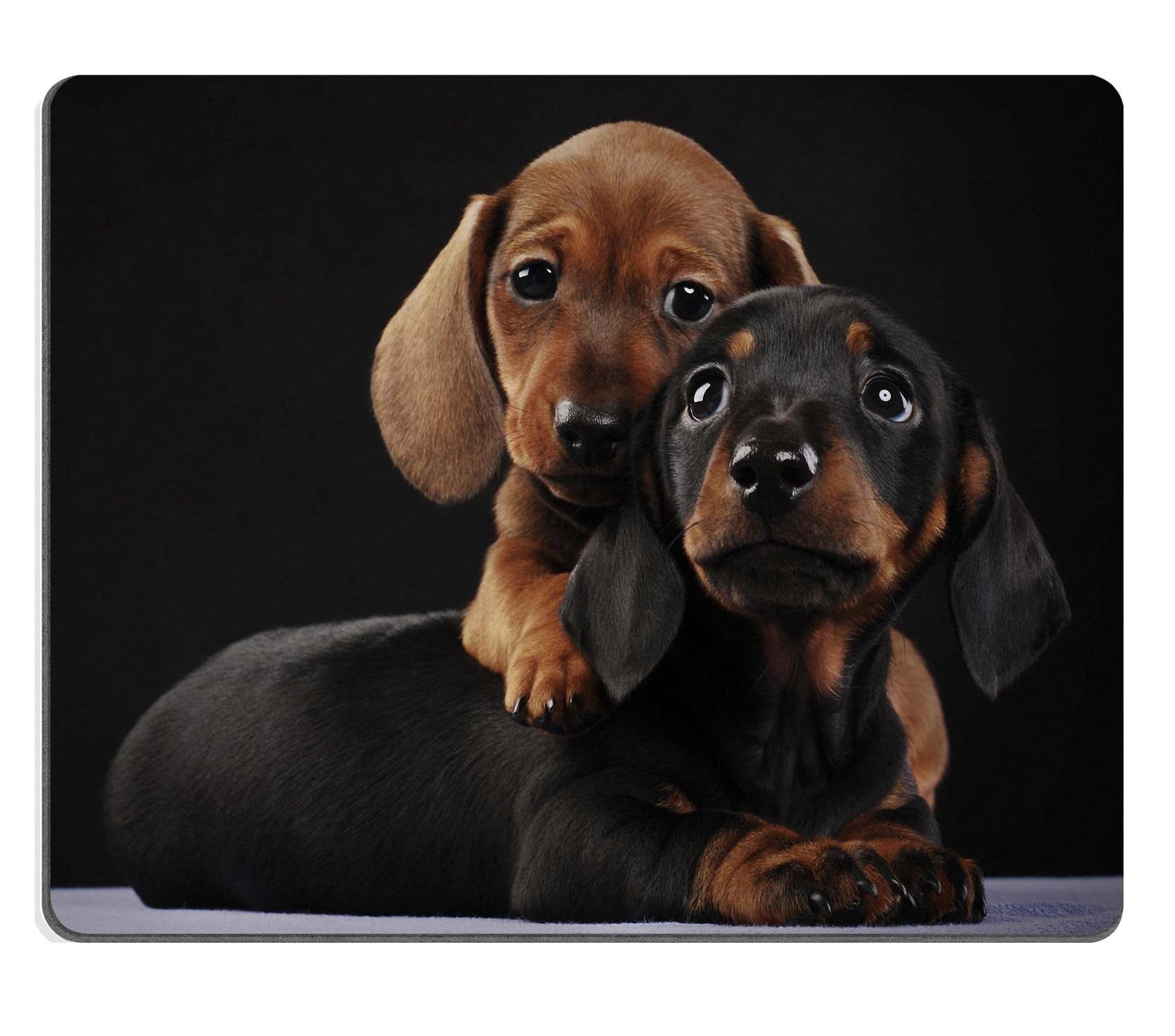 Liili Mouse Pad Natural Rubber Mousepad Image ID: 26939029 Dachshund Puppy