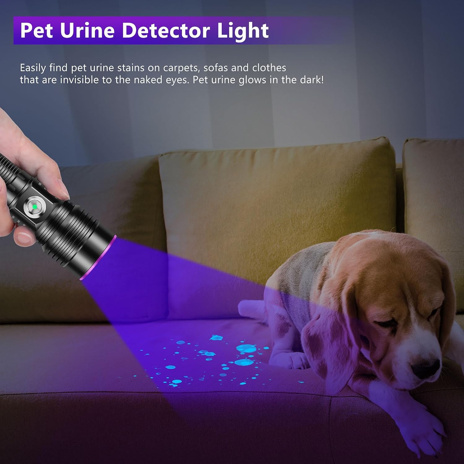 WINDFIRE UV Flashlight Rechargeable, 365nm Blacklight Flashlights Powerful, Black Light for Pet Urine Detection, Scorpions, Resin Curing, Rocks, Blood Tracking, Uranium Glass