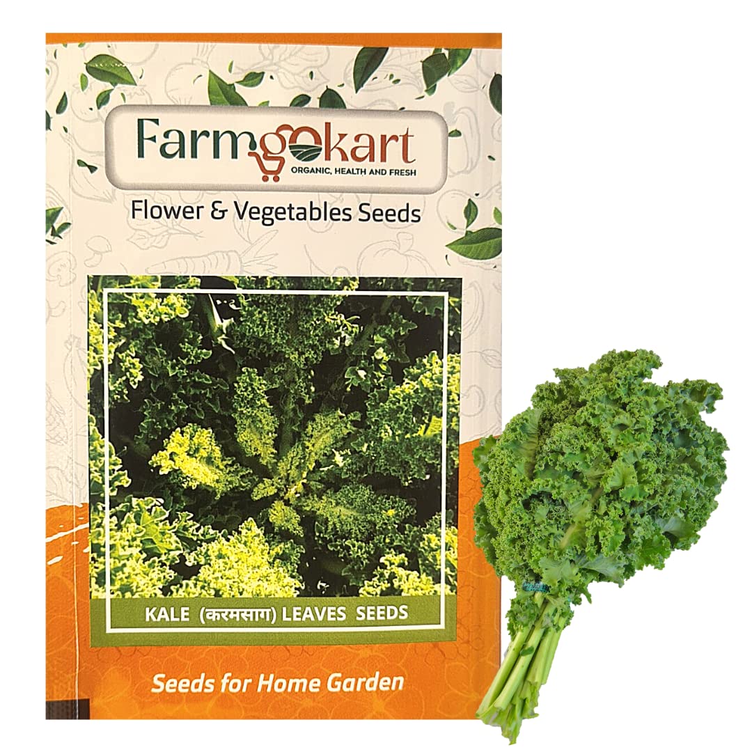 10 Gms CURLY KALE Herb Seeds |for Home Gardening, Farming, Hydroponics and Poly Houses| (B0BX6PFWJ2) Amazon Price History, Amazon Price Tracker