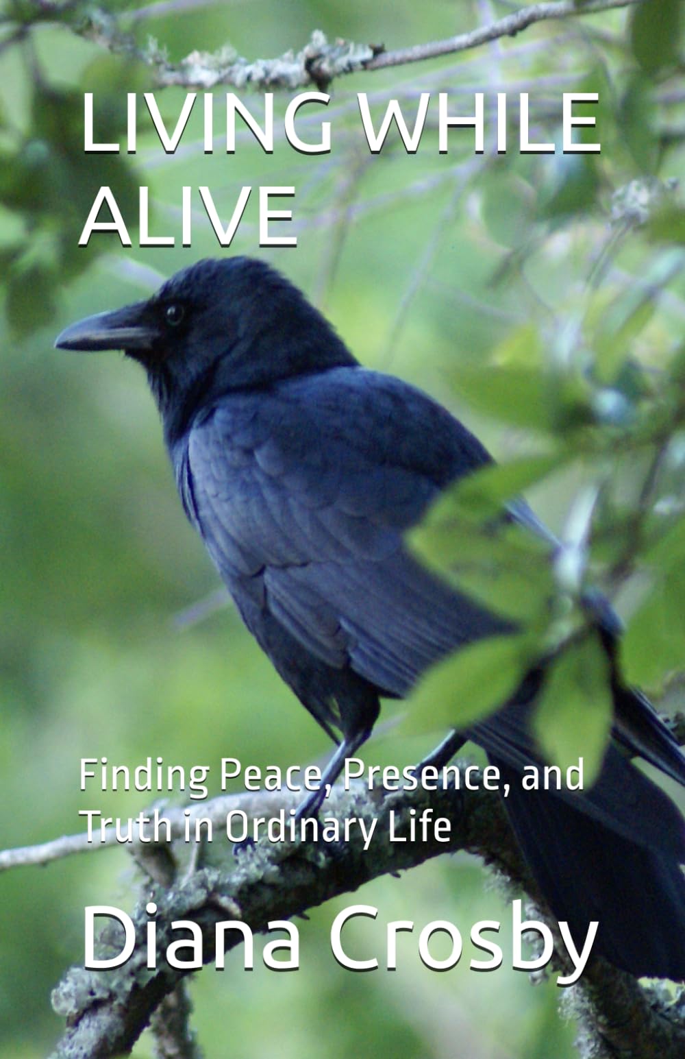 LIVING WHILE ALIVE: Finding Peace, Presence, and Truth in Ordinary Life