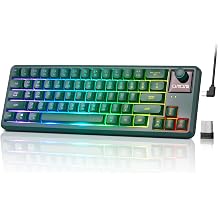 65% Wireless RGB Gaming Keyboard with Tri-Mode, LED/Volume Knob for WIN/Mac