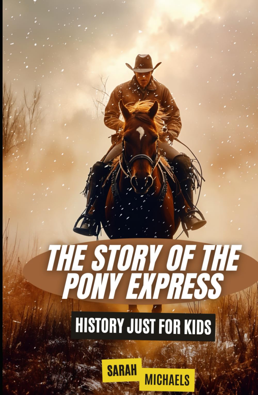 The Story of the Pony Express: History Just for Kids