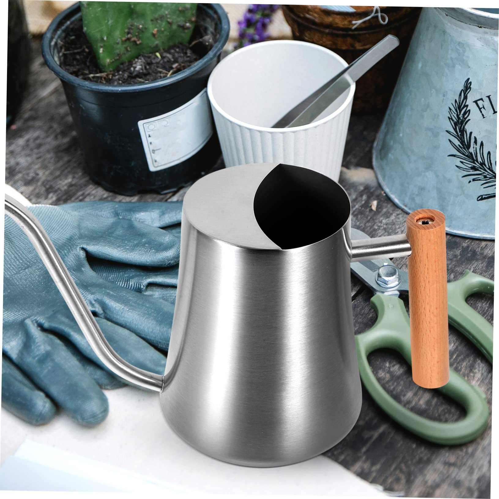Hemobllo Annaffiatoio Inossidabile con per Annaffiare Piante e Ed Esterni Design e per Appassionati Giardinaggio