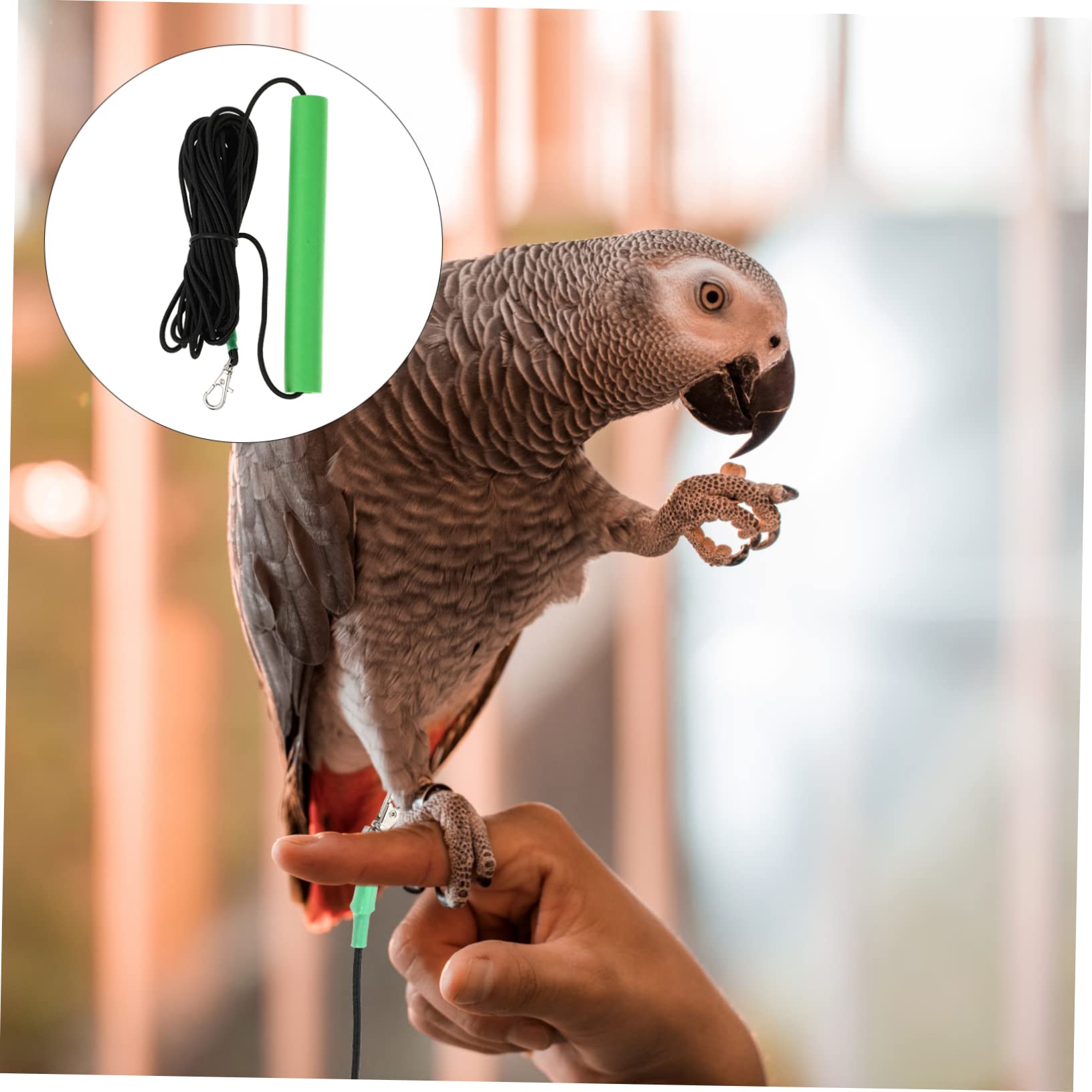 2 Cuerdas De Tracción para Pájaros, Correas para Loros, Cuerdas para Caminar, Correas para Mascotas, Arnés para Pájaros, Correas para Entrenamiento De Pájaros, Cuerdas para Volar,
