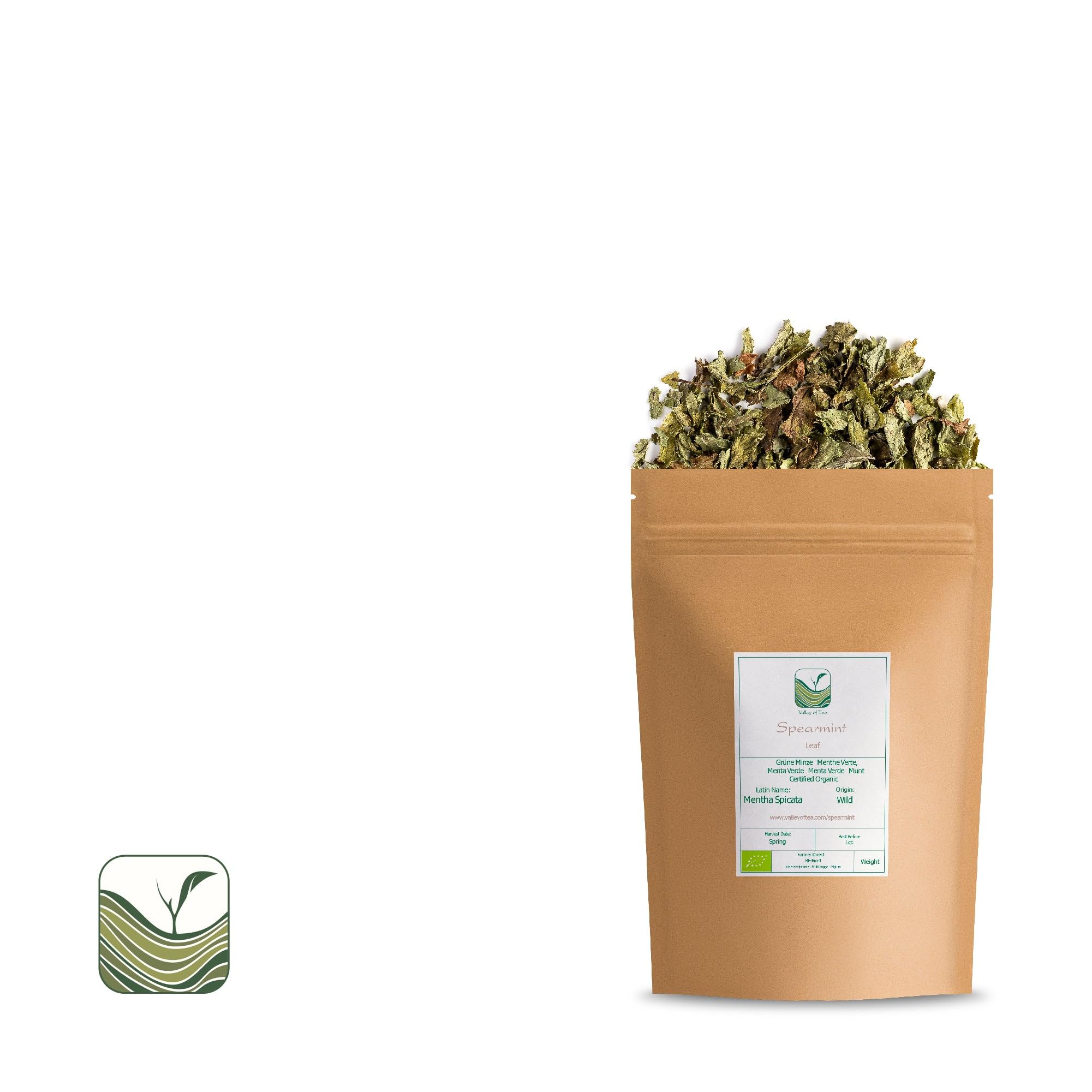 Mięta Kędzierzawa Sypana Bio - Duże Opakowanie Suszony Liść - Mentha