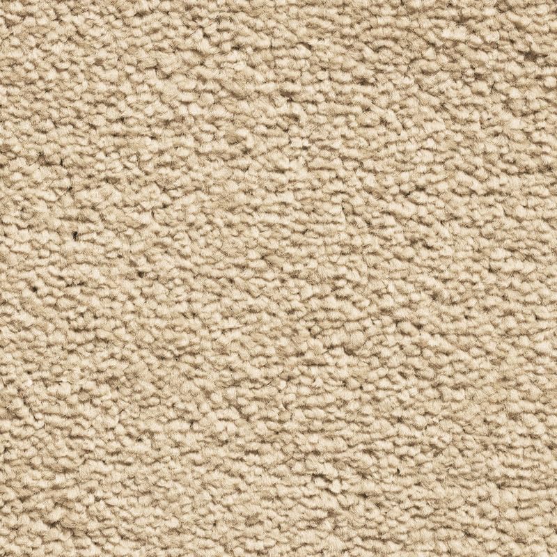 Tuda Carpet | Serene 10mm Pile Saxony Carpet with Action Backing, 12mm Total Height | Desert (72) - 4m x 1.5m (13ft1" x 4ft11") — image 1