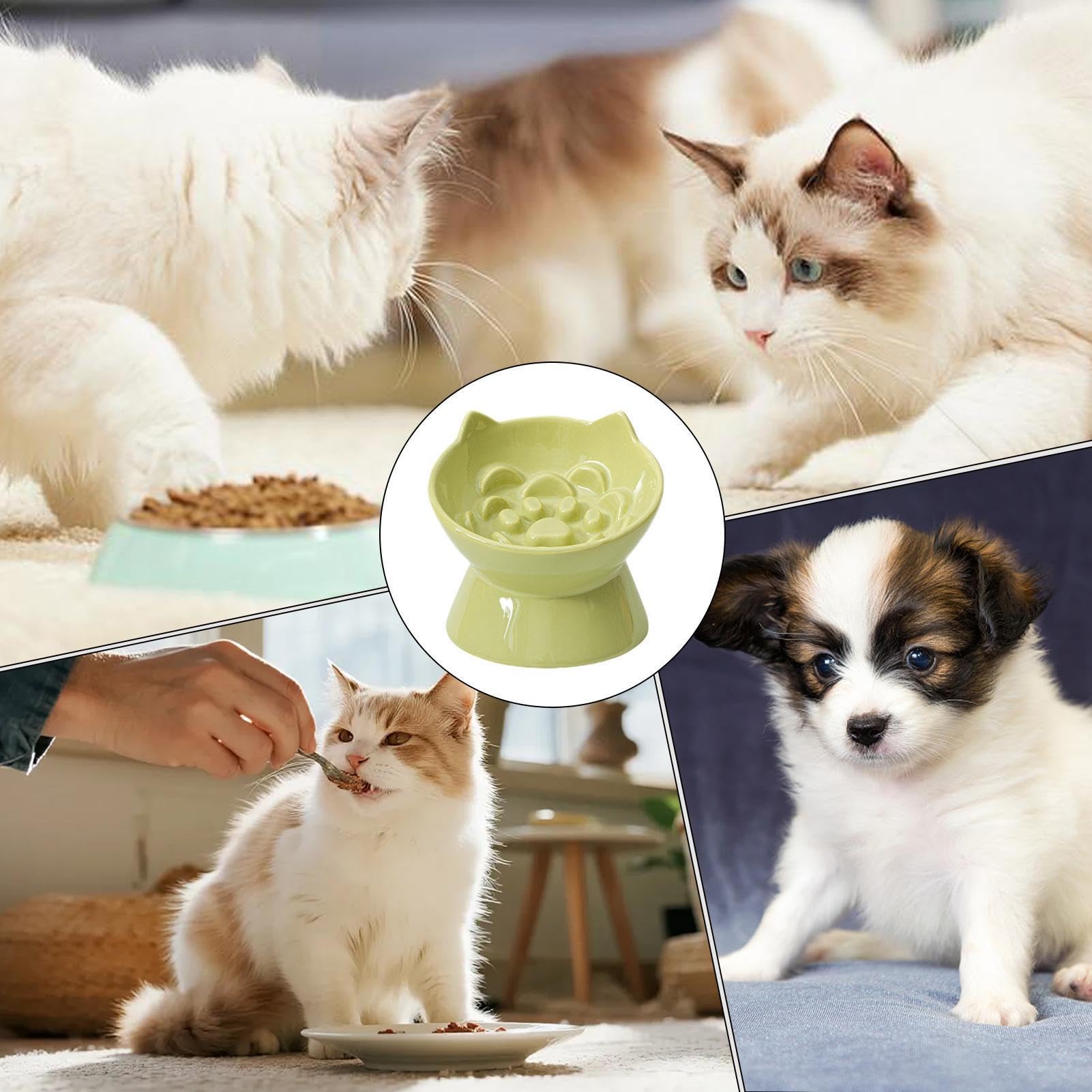 Ciotole Rialzate per Gatti Mangiatoia Lenta Anti-Ingordigia in Ceramica | Ciotole Sopraelevate Per Gatti per Interni Soggiorno Cucina Casa Appartamento Terrazzo