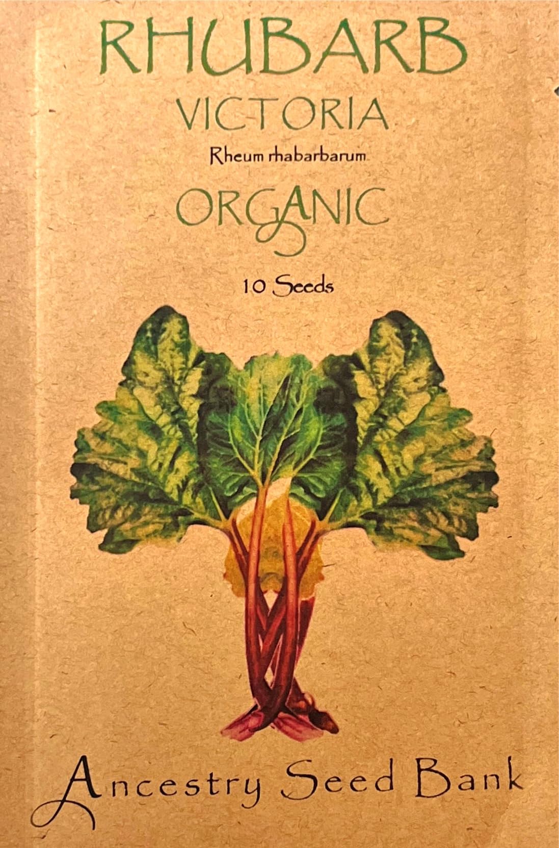 Organic Rhubarb ❁ Victoria ❁ x10 Seeds Heirloom - Non GMO