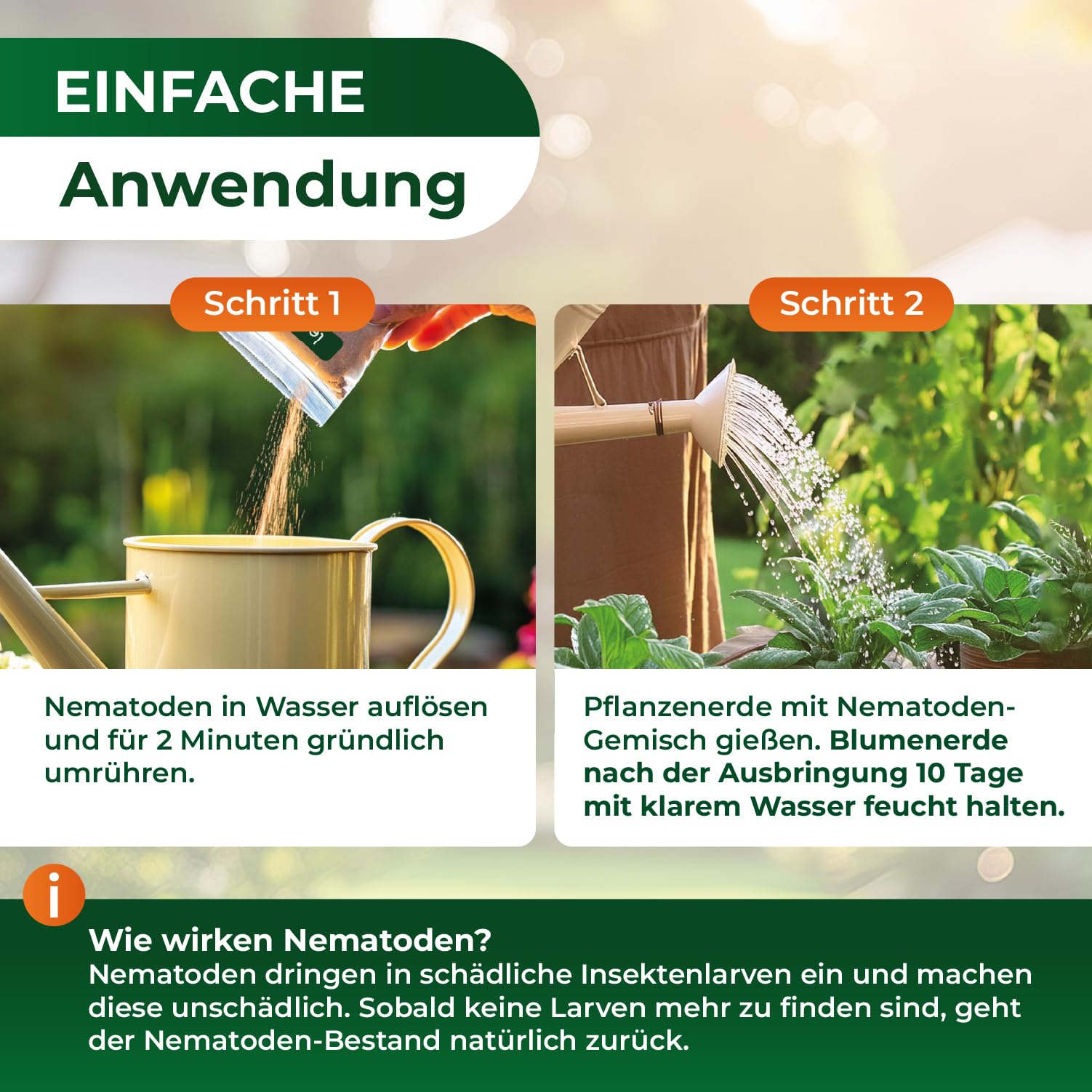 Legona SC-Nematoden gegen Maulwurfsgrillen und Wiesenschnaken, 50 Mio. für 100 m² oder 250 L Blumenerde, Steinernema carpocapsae