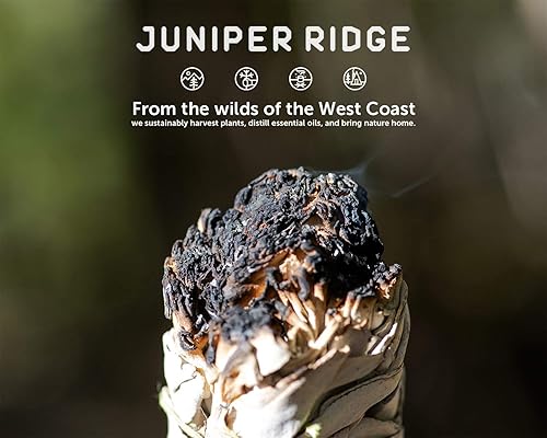 Miniatura 5 de Juniper Ridge California White Sage - Paquete de incienso grande - Aromaterapia - Sin fragancia sintética - Cuenta única Sweetgrass, Variedad –