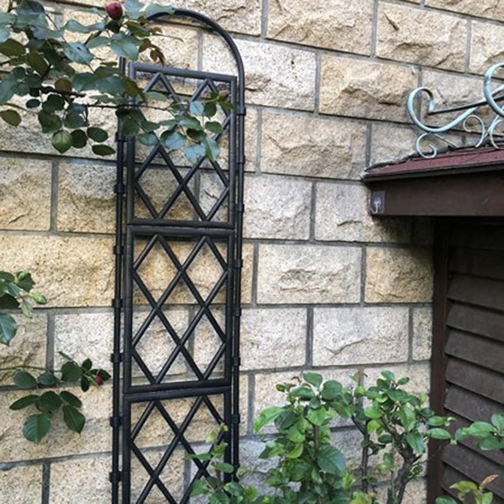 Garten Spalier für Kletterpflanzen, Schwere Pflanzenstützpfähle, Ideal für Pflanzen Rankgitter, Obstspaliere, Gemüse Rankhilfe, Blumen und Alle Arten Von Kletterpflanzen(Color:Black,Size:170*60cm/67*2