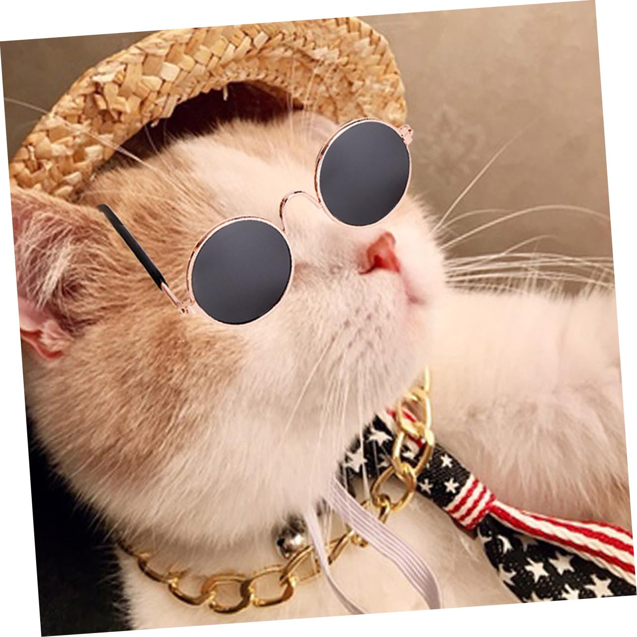 BESPORTBLE Metal Pet Necklace Chain Fashion Pet Pendant Dog Necklace for Small Dog Cat Jewelry Golden Chain