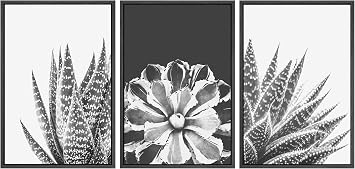 SIGNWIN Framed Wall Art Print Set Sempervivum & Haworthia Succulent Set Nature Plants Photography Modern Art Closeup Relax/Calm Black and White for Living Room, Bedroom, Office - 16"x24"x3 Black
