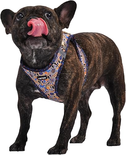 AMTOR Arnés para perro con juego de correa, arnés reflectante ajustable sin tirones para cachorros con chaleco acolchado para perros y gatos