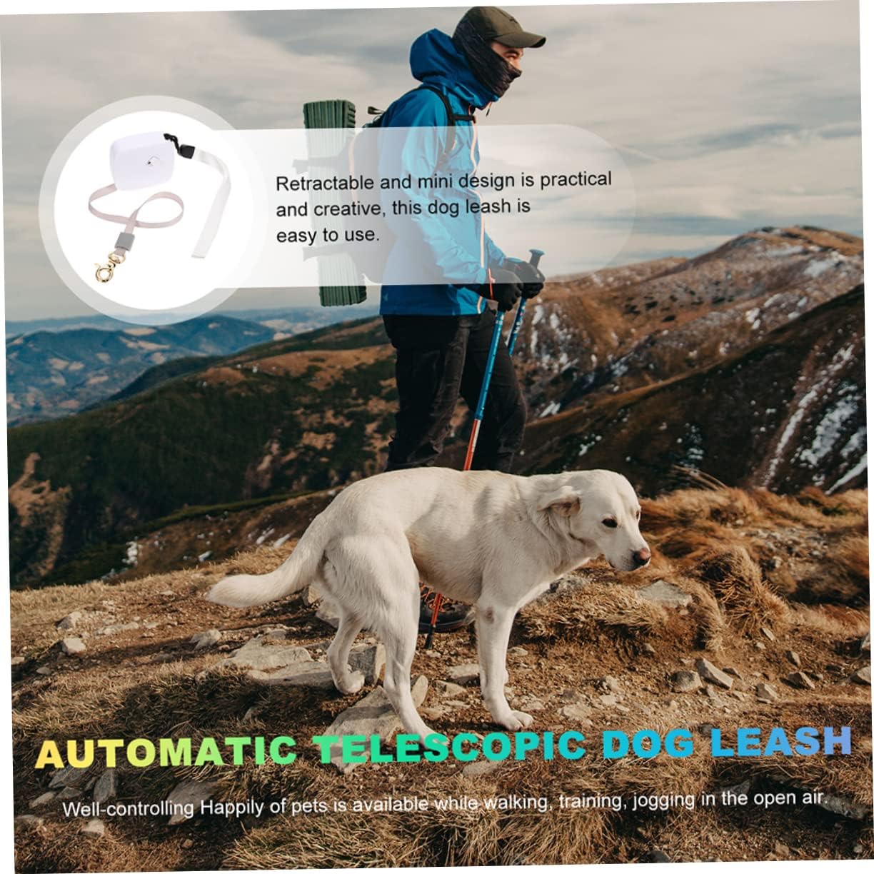 FRCOLOR 5pcs Dog Leash Rope for Small and Dogs Retractable Waist Leash with Options for Outdoor Adventures