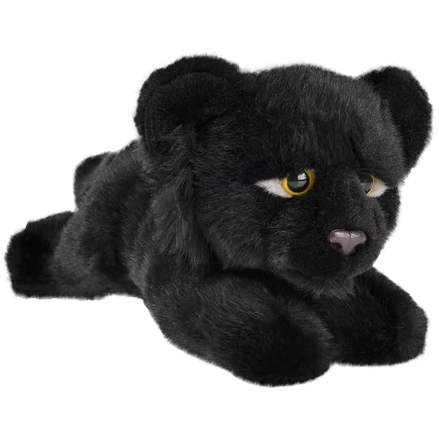 Amazon.com: Forest & Twelfth 9.5