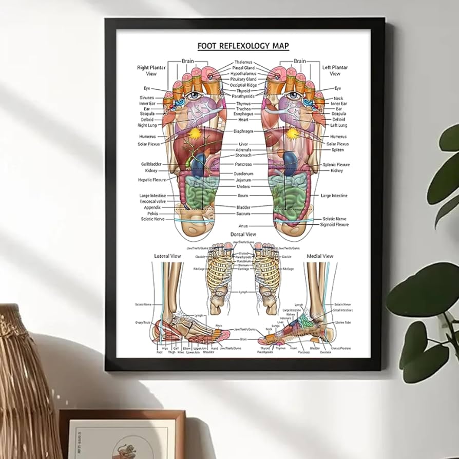 Amazon.co.jp: BAIQIAOLIYI フットリフレクソロジーマップ対応