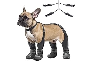 Idepet Dog Suspender Boots for Small Dogs