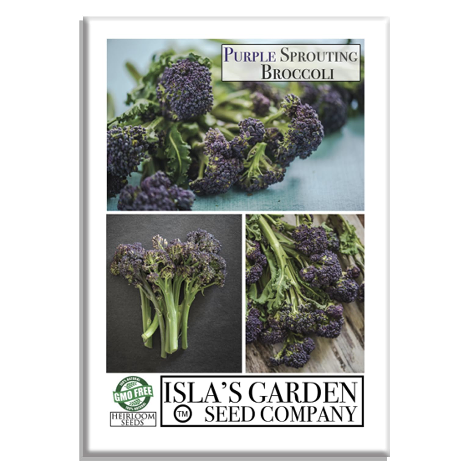 Purple Sprouting Broccoli Seeds, 500+ Heirloom Seeds Per Packet, (Isla's Garden Seeds), Non GMO Seeds, Botanical Name: Brassica oleracea, 85% Germination Rates