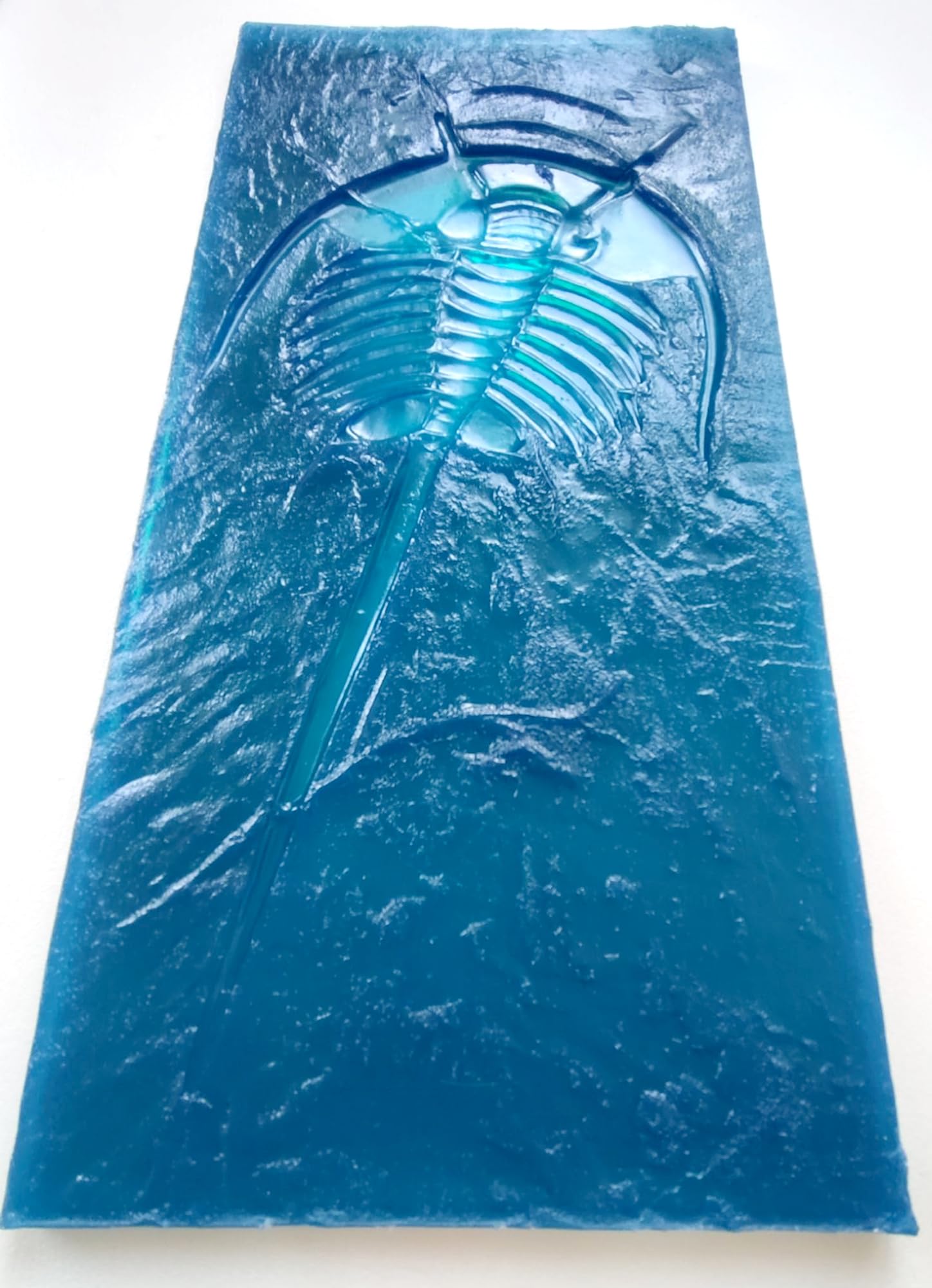 Polyurethane Mat Stamp TRILOBITE | Concrete Cement Stamping Pattern Imprint Decorative Texture Form Mold Tool Texturing