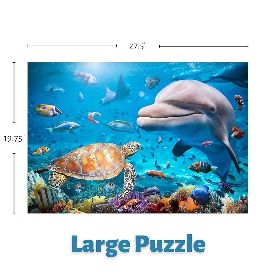 イルカと魚のパズル Amazon | イルカとウミガメ 1000ピース パズル 大人 ティーン