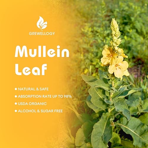 Miniatura 4 de Gotas de gordolobo para pulmones, 7 en 1 1500 mg de extracto líquido de hoja de gordolobo para limpieza de pulmones y apoyo respiratorio,