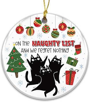 Funny Black Cat Christmas Ornament 2025 On the Naughty List and We Regret Nothing Ceramic Holiday Ornament Cute Cat Lover Gift, Naughty Pet Christmas Tree Decoration, Stocking Stuffer