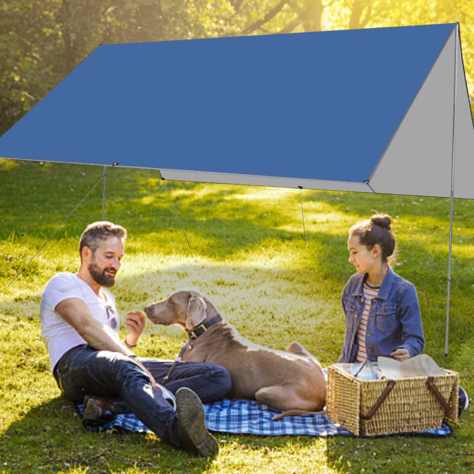 Bâche transparente imperméable de dimensions 200 x 200 cm, idéale pour Bâche transparente imperméable de dimensions 200 x 200 cm, idéale pour