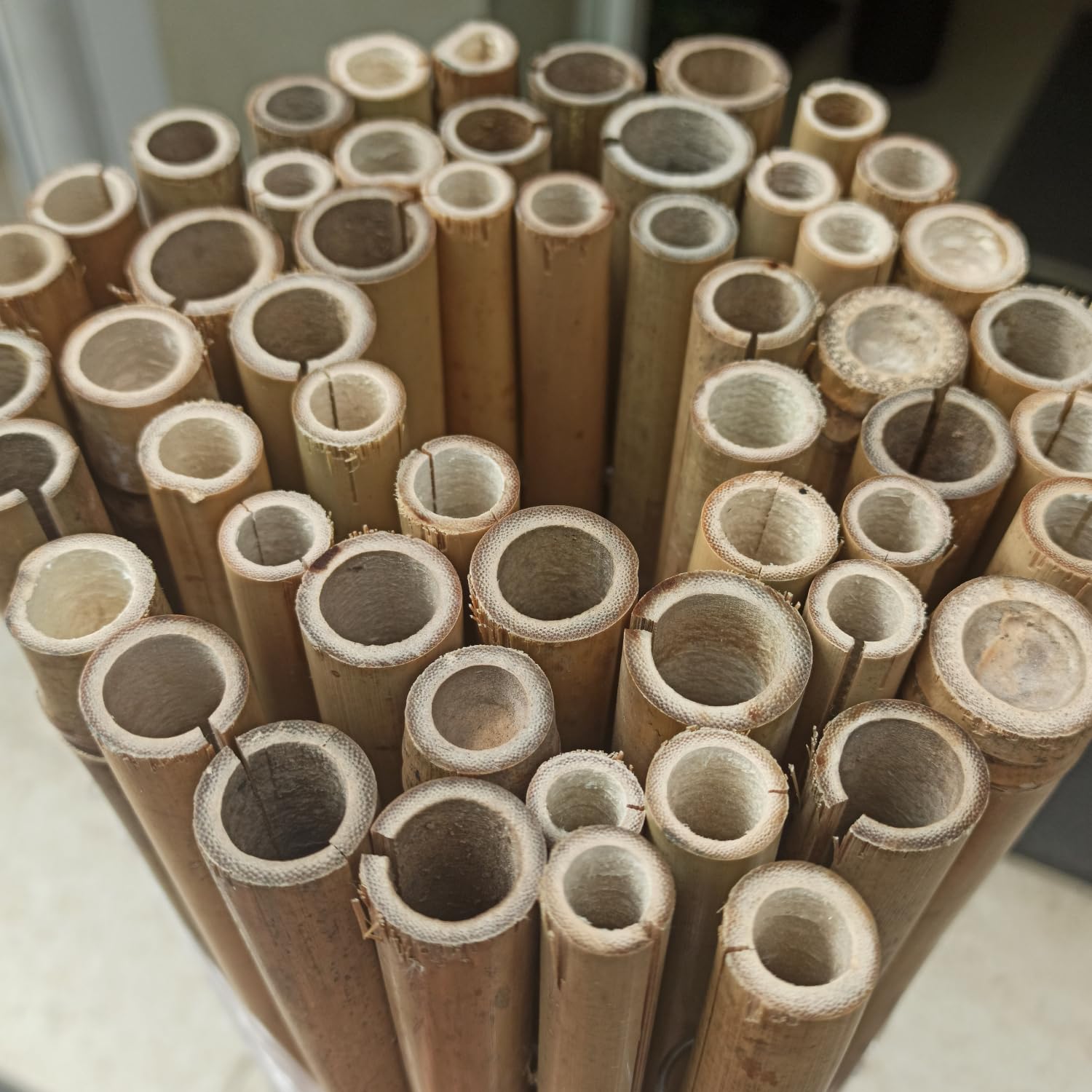 BONERVA | Bambú Pro Caña Completa | Cañizo de Bambú Caña Gruesa para cerramientos y decoración de Jardín, balcón y Exteriores | 12 mm - 25 mm diámetro cañas | Varias Medidas (2 x 3 Metros)