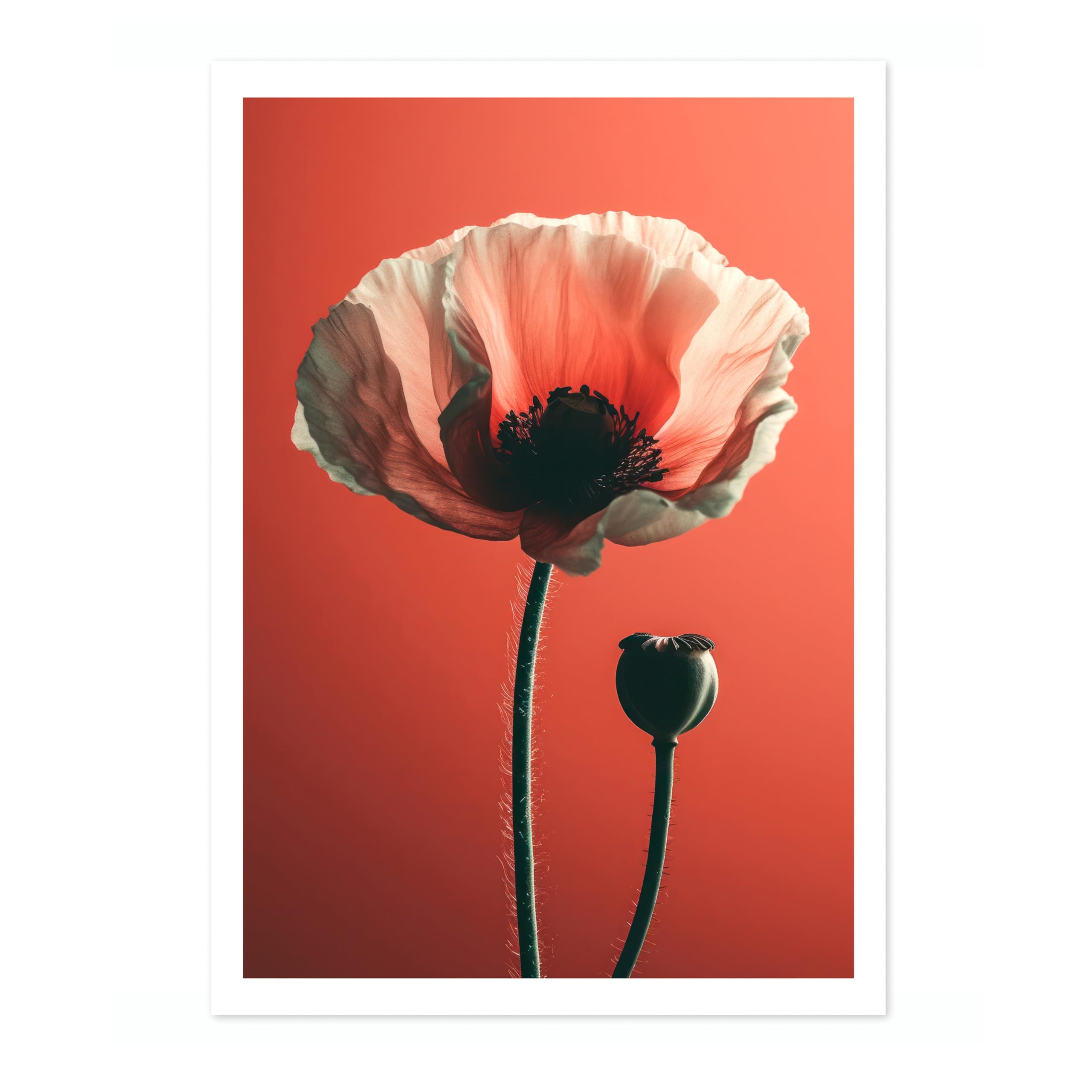 Poppy Flower Poster, Colourful Floral Home Decor Wall Art, Abstract Colourful Minimalist Bedroom Artwork Gallery, Archival Matte, A4 (Print Only) - 29.7x21cm — image 1