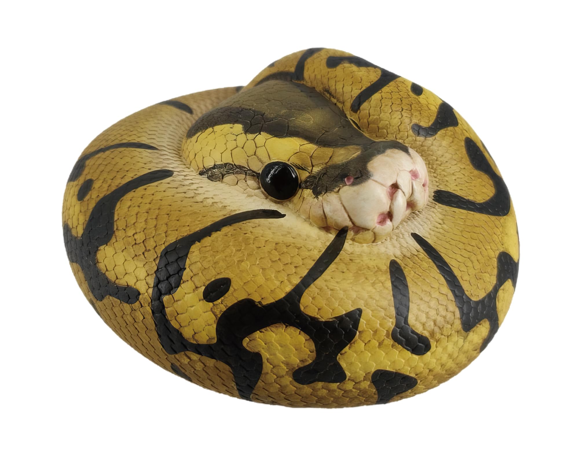 IFiDEA Animal Heavenly Body Series 5 Reptile Chubby Collectible Miniature - Snake Statue for Home Office Decor, Realistic Sculpture (Python Regius -