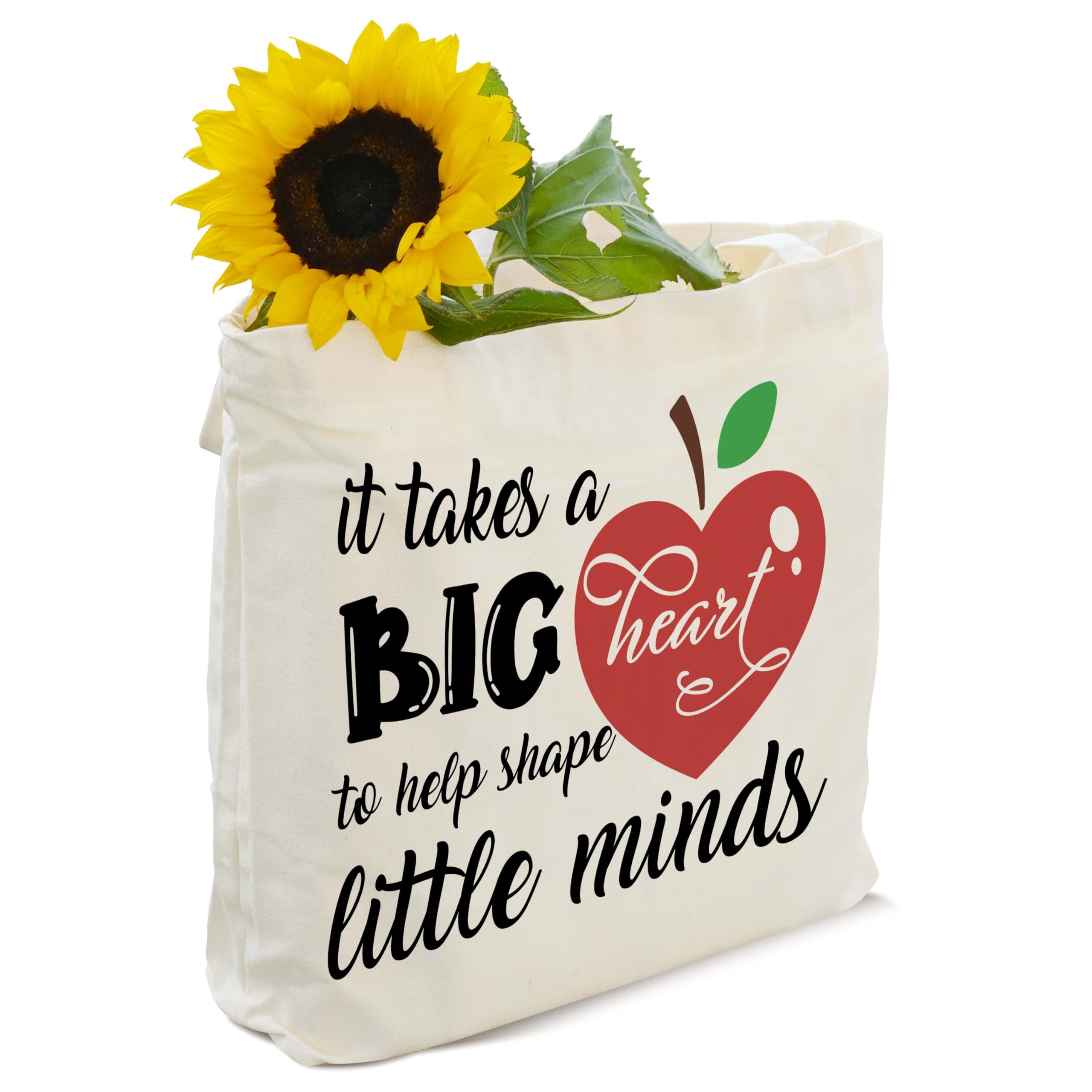 GOLRMC Teacher Appreciation Gifts, Canvas Tote Bag Aesthetic, Reusable Grocery Shopping Bags, Thank You Gifts Shoulder Tote Bag for Women - C01