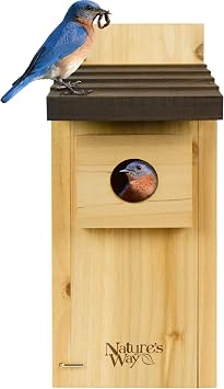 Natures Way Cedar Bluebird House for Outdoor Nesting, Predator Guard, Ventilated Design & Easy Access Clean-Out Panel, Natural Wood