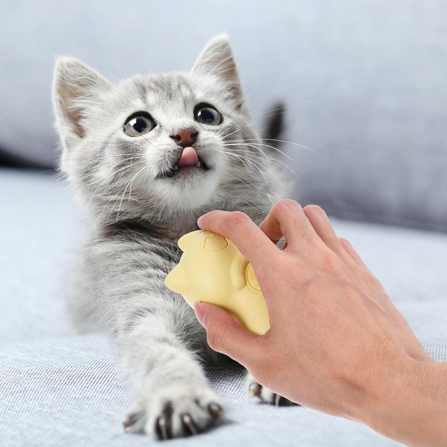 POLGDW Cat Hair Steam Brush Cat Grooming Brush with Steam Rechargeable Cleaning Steam Brush for Shedding,Dogs Spa, Defur Comb,Pet Brush for Dog and Cat