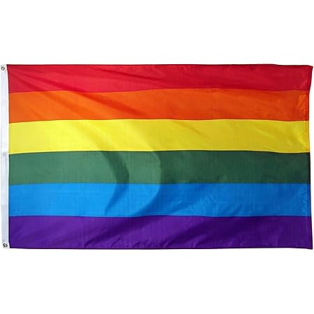 Amazon Com Bandera Del Arco Iris Cj406 Del Orgullo Gay De La Paz De Lesbianas De 31 5 X 4 9 Ft Patio Cesped Y Jardin