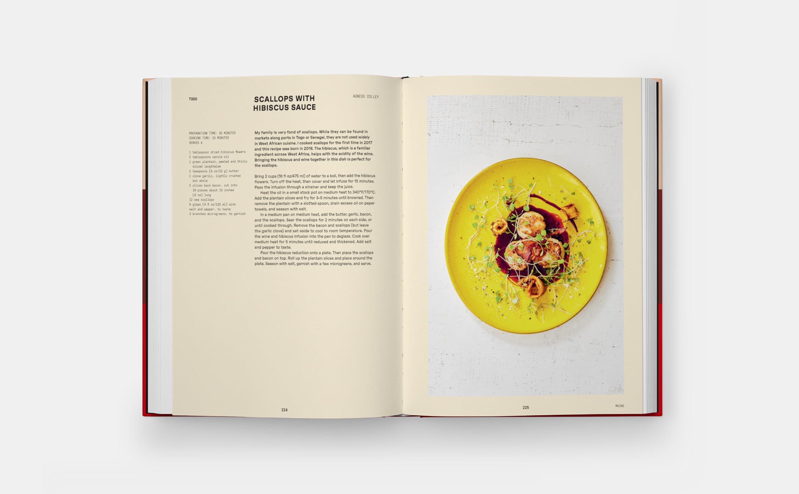The contemporary african kitchen: Home cooking recipes from the leading chefs of Africa