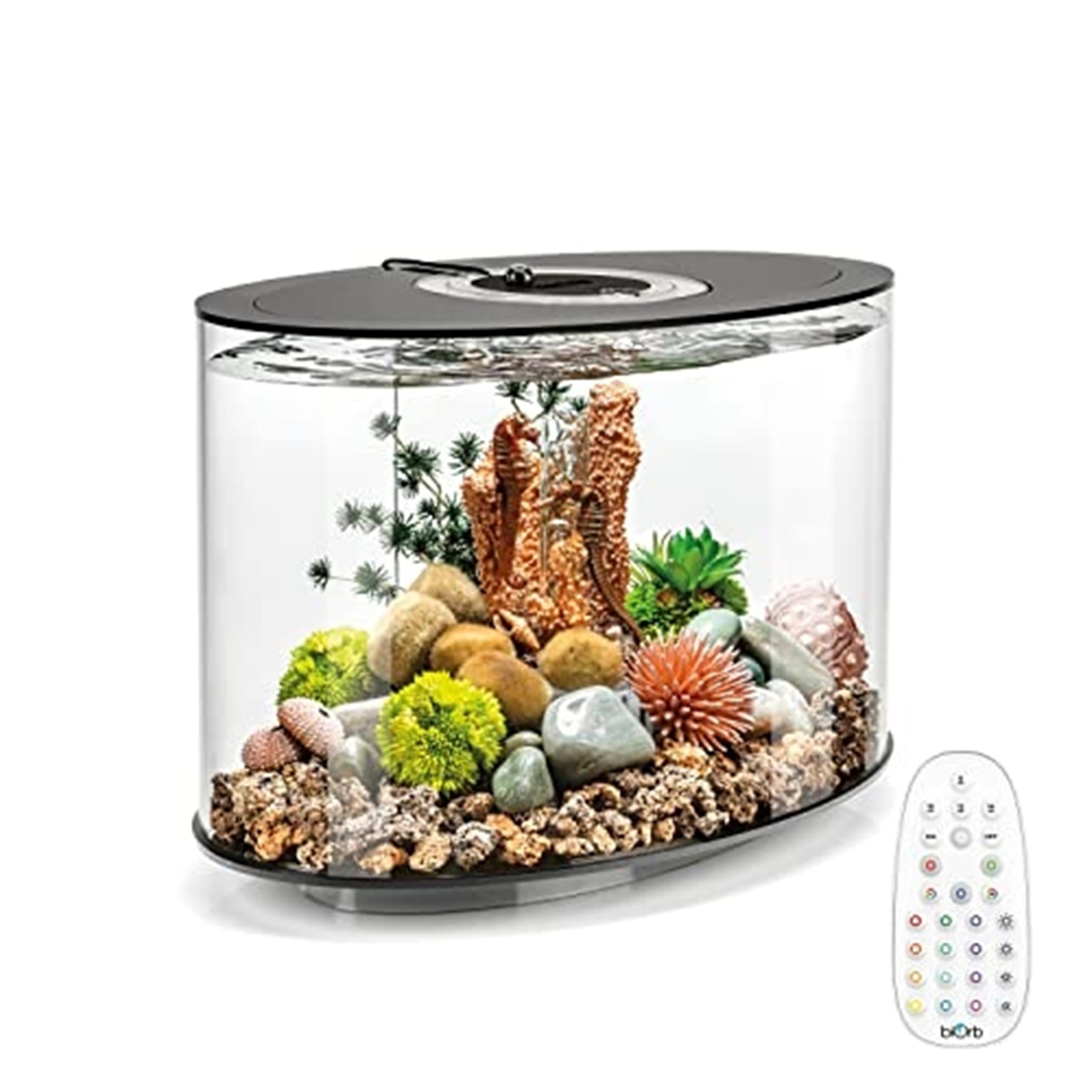 Biorb Loop 15L Aquarium Mcr Led – Complete Starter Kit With Filter, Aeration & 360 View Black