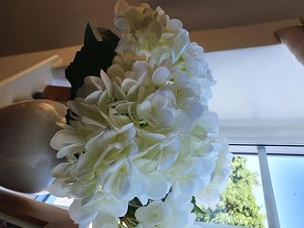 ubuy Oʻzbekiston