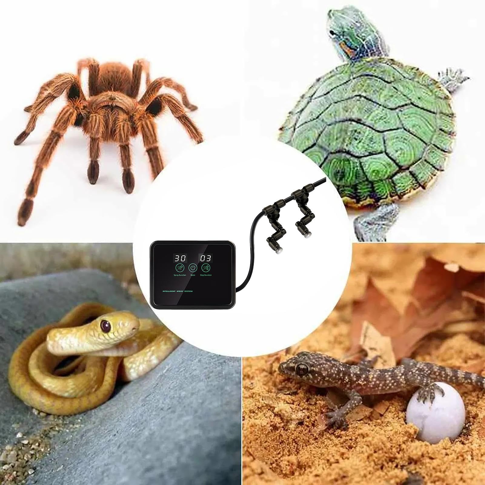 Humidificador automático para Reptiles | 80 x 100 x 35 mm | de nebulización para reptiles, humidificador de reptiles, LCD con función de temporización, para reptiles de anfibios